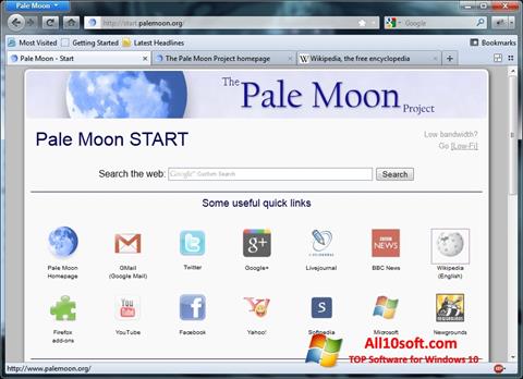 Screenshot Pale Moon per Windows 10