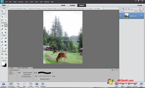 Screenshot Photoshop Elements per Windows 10