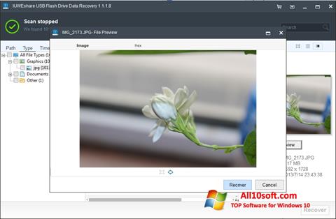 Screenshot USB Flash Drive Recovery per Windows 10