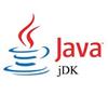 Java SE Development Kit per Windows 10