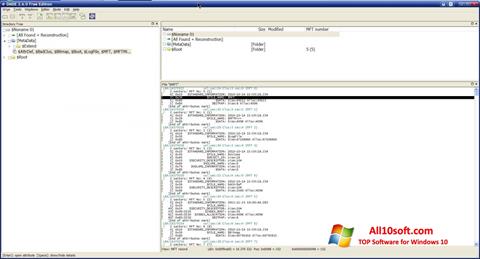 Screenshot DMDE per Windows 10